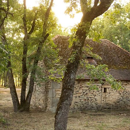 Hotel Le Bois De Faral Le Bastit Esterno foto