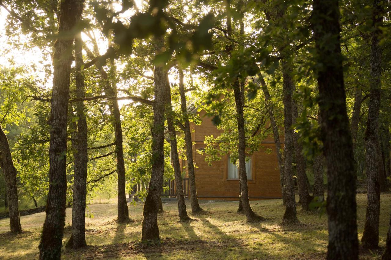 Hotel Le Bois De Faral Le Bastit Esterno foto